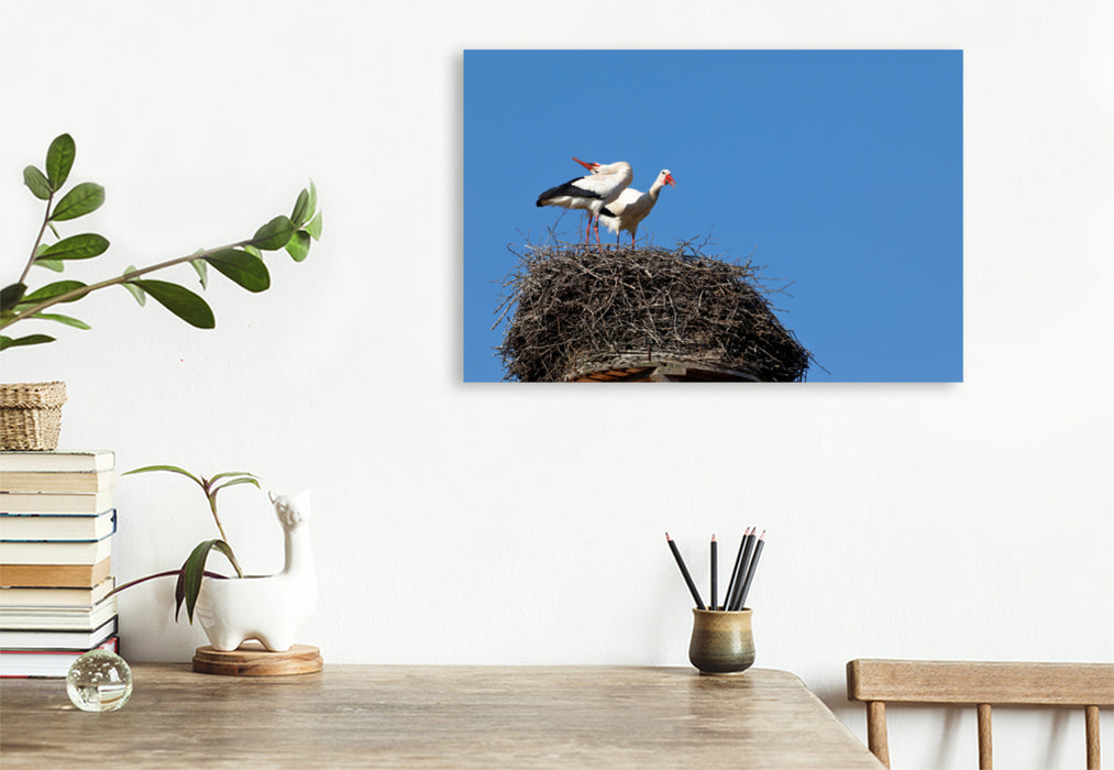 Premium textile canvas Premium textile canvas 120 cm x 80 cm landscape white stork 