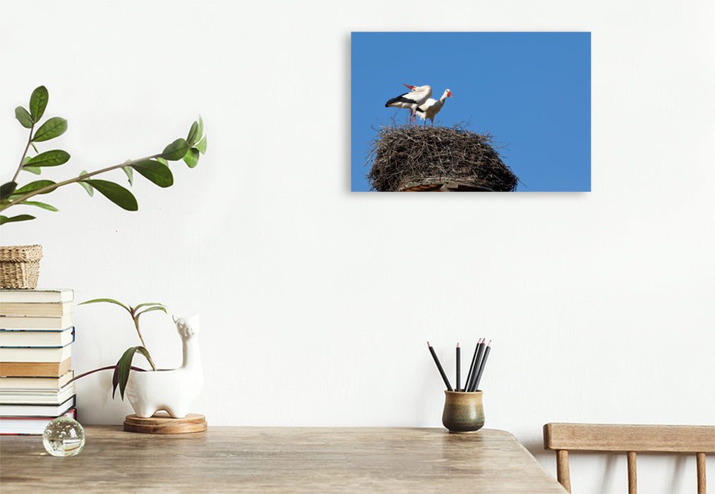 Premium textile canvas Premium textile canvas 120 cm x 80 cm landscape white stork 