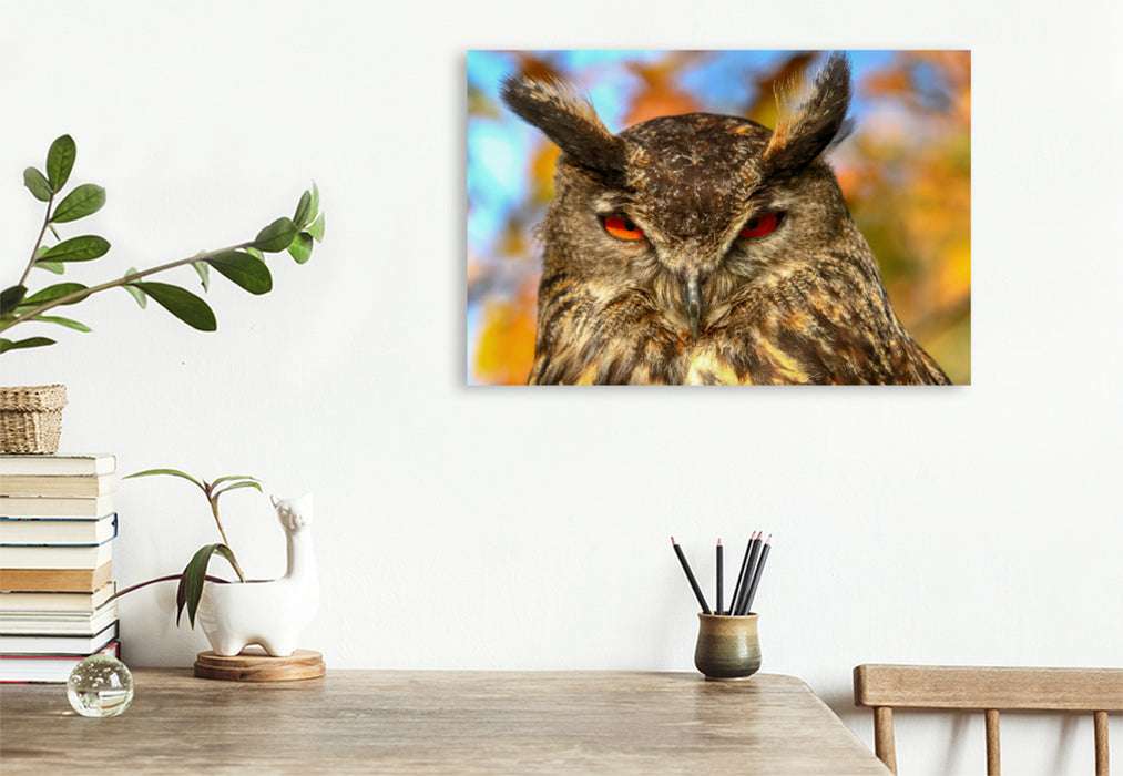 Premium textile canvas Premium textile canvas 120 cm x 80 cm landscape eagle owl 