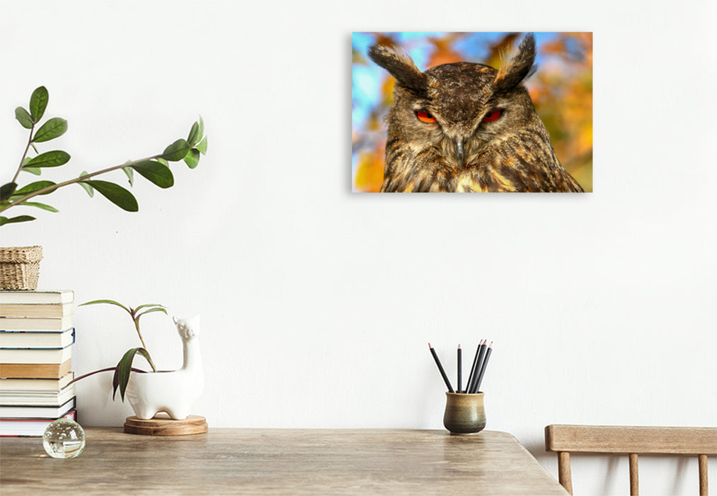 Premium textile canvas Premium textile canvas 120 cm x 80 cm landscape eagle owl 