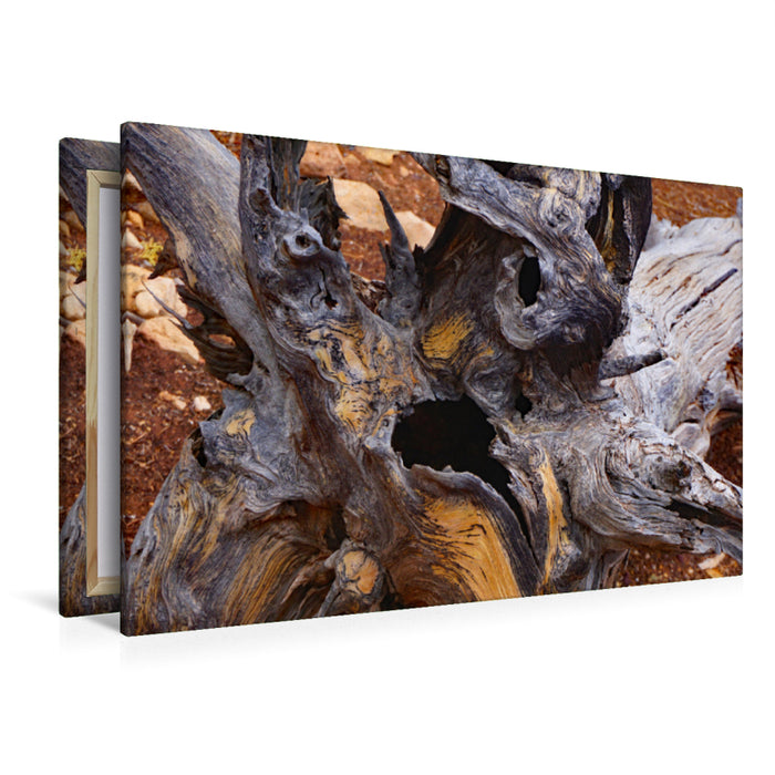 Premium Textil-Leinwand Grand Canyon Totholz