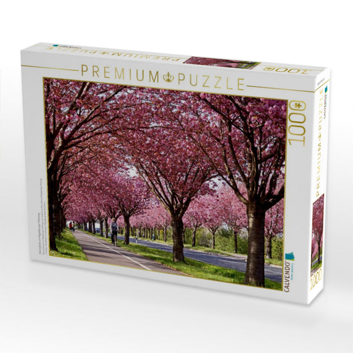 Kirschblüte im Magdeburger Holzweg - CALVENDO Foto-Puzzle'