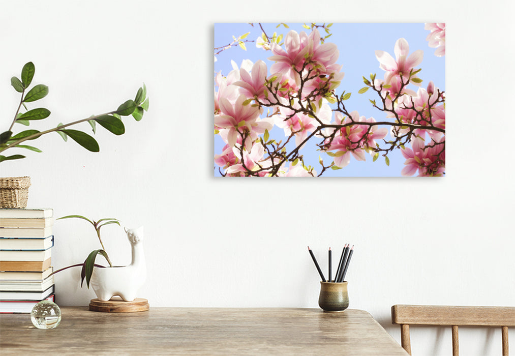 Premium textile canvas Premium textile canvas 120 cm x 80 cm landscape Delicate magnolia flowers 