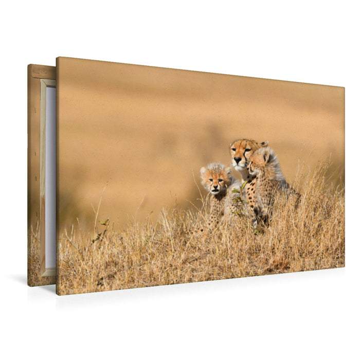 Premium Textil-Leinwand Nachwuchs