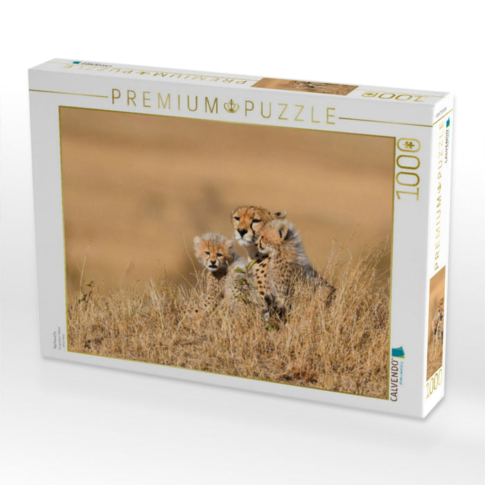 Nachwuchs - CALVENDO Foto-Puzzle'
