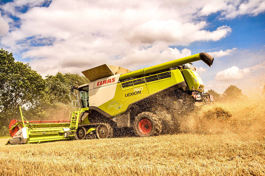 Premium Textil-Leinwand Ein Motiv aus dem Kalender Landwirtschaft - Giganten im Kornfeld