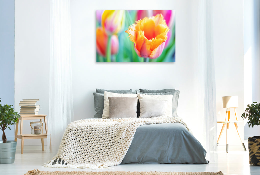 Premium textile canvas Premium textile canvas 120 cm x 80 cm across A motif from the calendar TULIP Colorful messenger of spring 