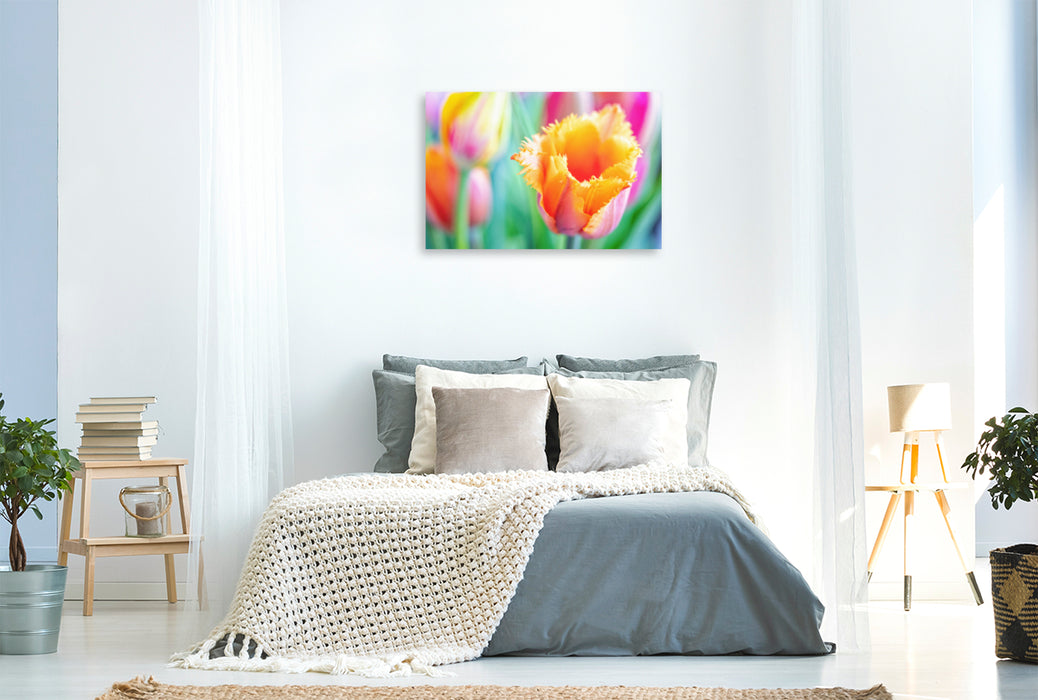 Premium textile canvas Premium textile canvas 120 cm x 80 cm across A motif from the calendar TULIP Colorful messenger of spring 