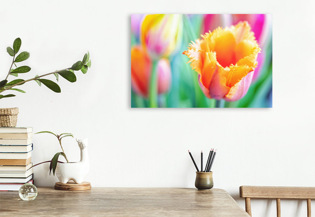 Premium textile canvas Premium textile canvas 120 cm x 80 cm across A motif from the calendar TULIP Colorful messenger of spring 