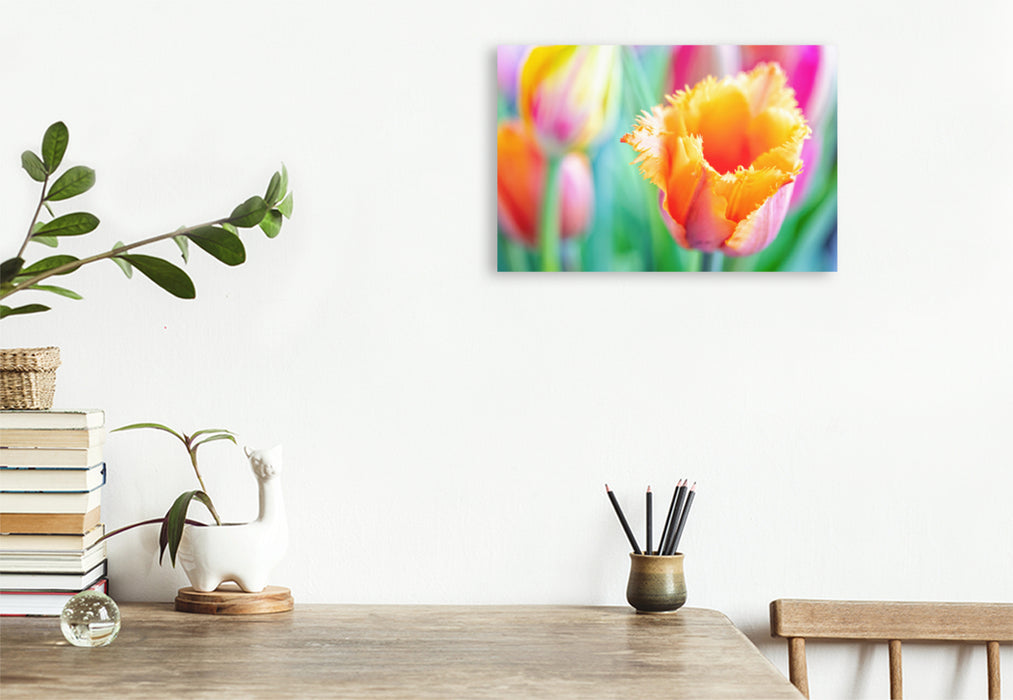 Premium textile canvas Premium textile canvas 120 cm x 80 cm across A motif from the calendar TULIP Colorful messenger of spring 