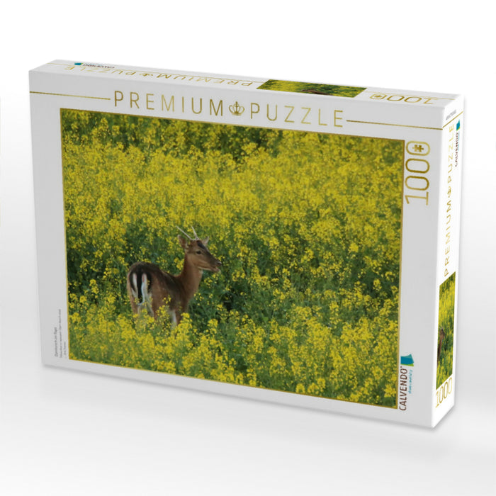 Damhirsch im Raps - CALVENDO Foto-Puzzle'