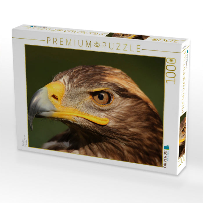 Steinadler - CALVENDO Foto-Puzzle'