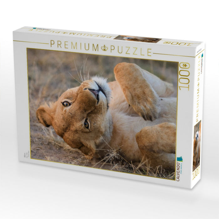 Albern - CALVENDO Foto-Puzzle'