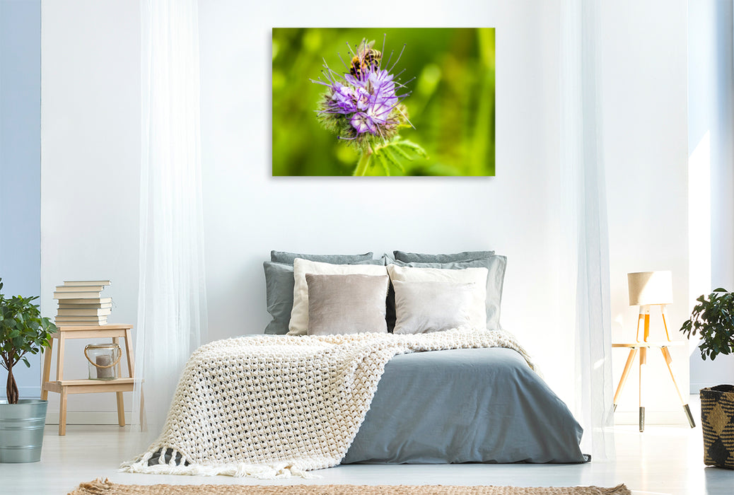 Premium textile canvas Premium textile canvas 120 cm x 80 cm landscape honey bee on flower 