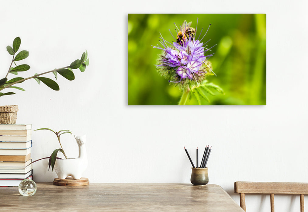 Premium textile canvas Premium textile canvas 120 cm x 80 cm landscape honey bee on flower 