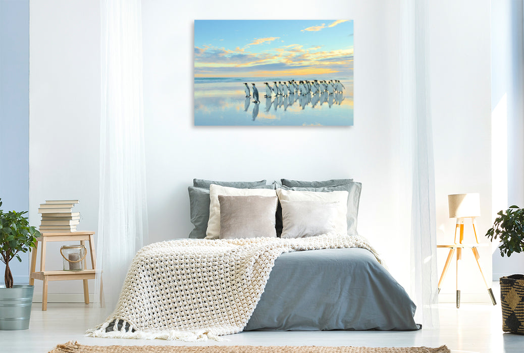 Premium textile canvas Premium textile canvas 120 cm x 80 cm landscape A motif from the calendar Penguins of the Falkland Islands 