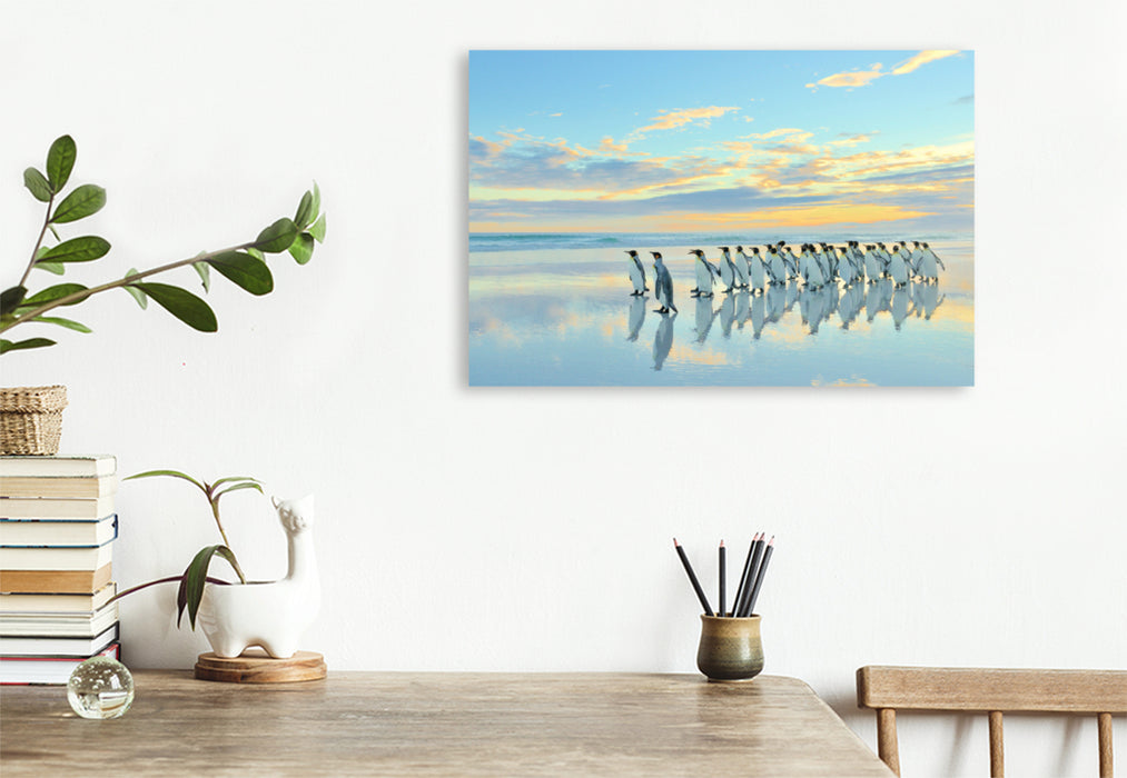 Premium textile canvas Premium textile canvas 120 cm x 80 cm landscape A motif from the calendar Penguins of the Falkland Islands 