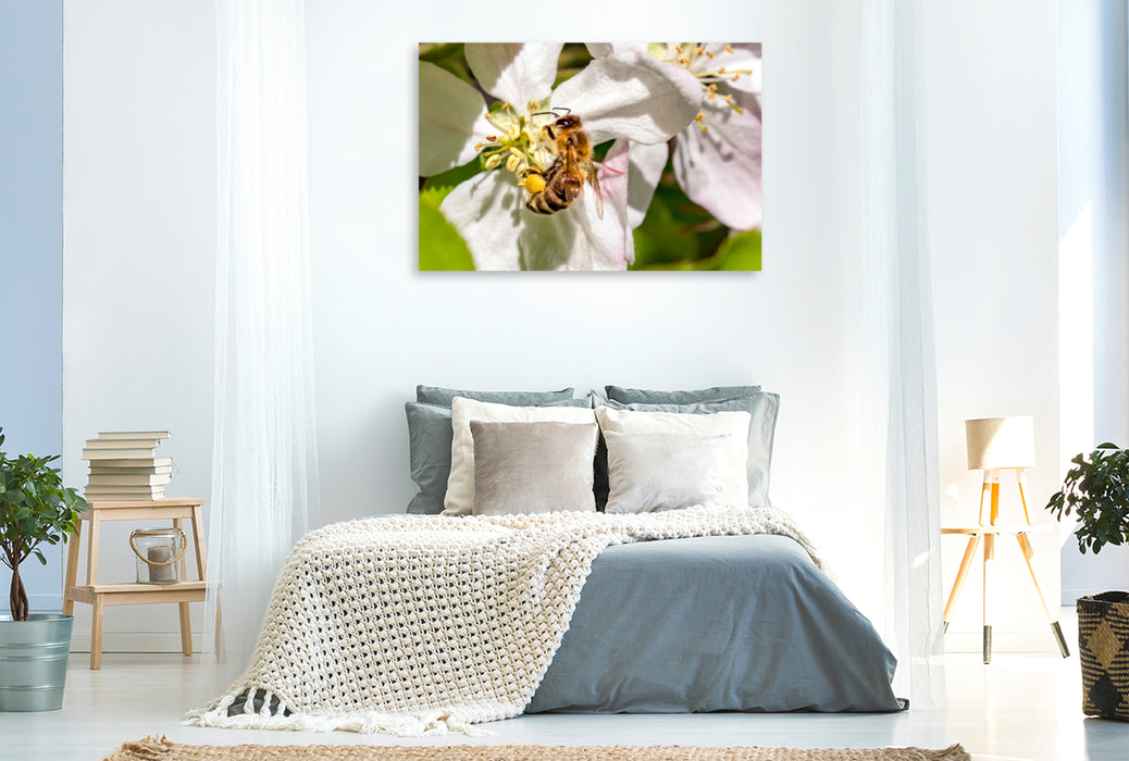 Premium textile canvas Premium textile canvas 120 cm x 80 cm across Bees collecting nectar 