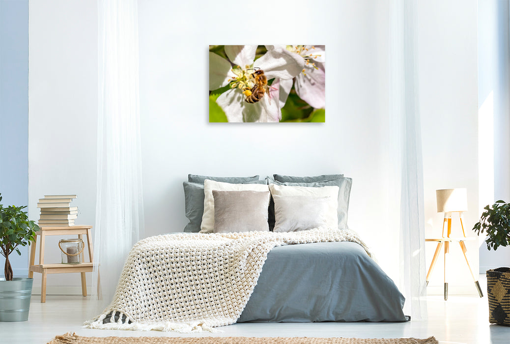 Premium textile canvas Premium textile canvas 120 cm x 80 cm across Bees collecting nectar 