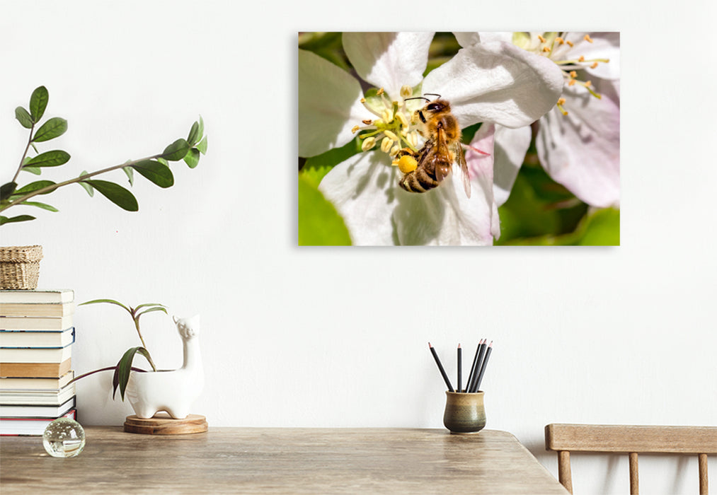 Premium textile canvas Premium textile canvas 120 cm x 80 cm across Bees collecting nectar 
