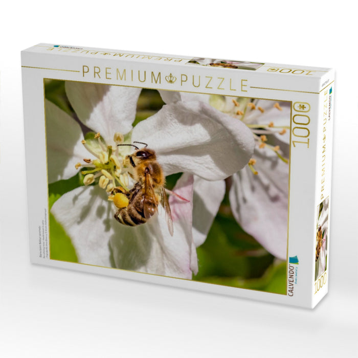 Biene beim Nektar sammeln - CALVENDO Foto-Puzzle'