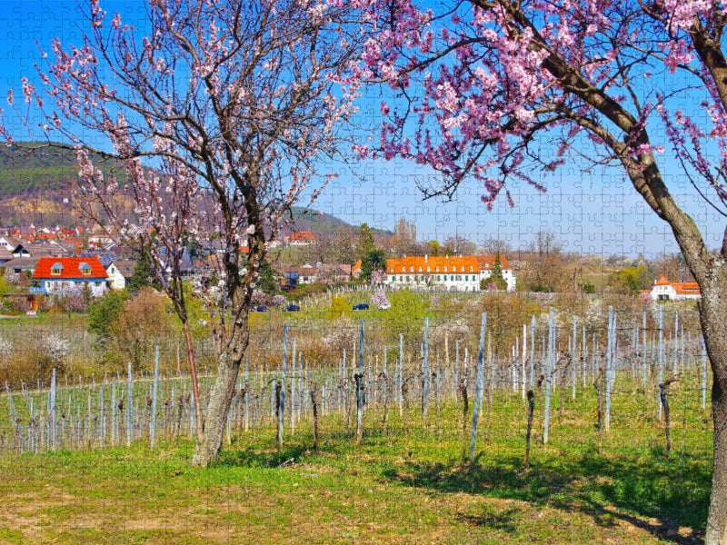 Ehemaliges Kloster Hildebrandseck - CALVENDO Foto-Puzzle'