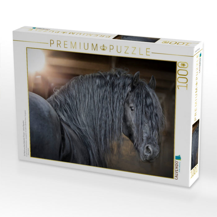 Ein Motiv aus dem Kalender Friesen - stolze Giganten - CALVENDO Foto-Puzzle'