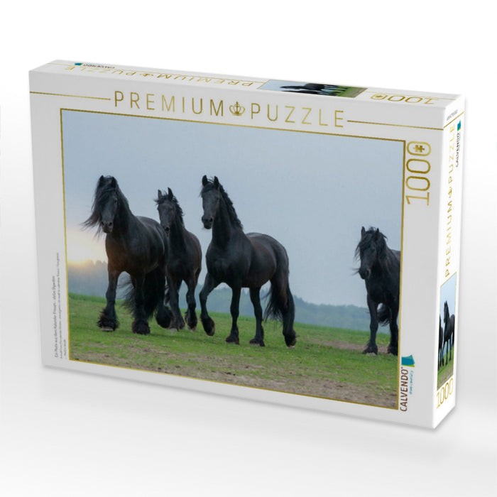 Ein Motiv aus dem Kalender Friesen - stolze Giganten - CALVENDO Foto-Puzzle'