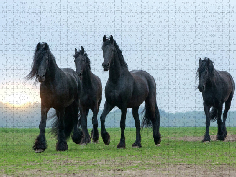 Ein Motiv aus dem Kalender Friesen - stolze Giganten - CALVENDO Foto-Puzzle'