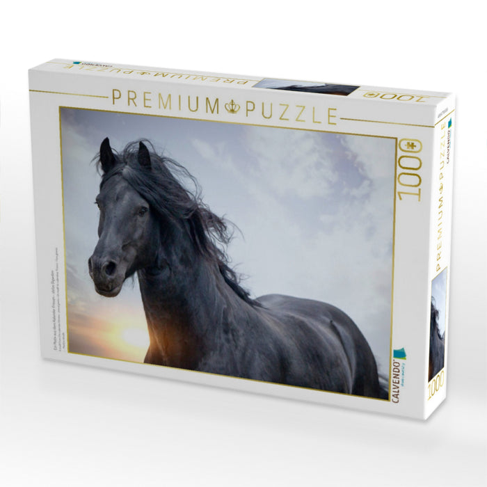 Ein Motiv aus dem Kalender Friesen - stolze Giganten - CALVENDO Foto-Puzzle'