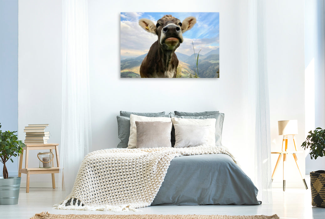 Premium textile canvas Premium textile canvas 120 cm x 80 cm landscape Proud cow on Ritten, South Tyrol 