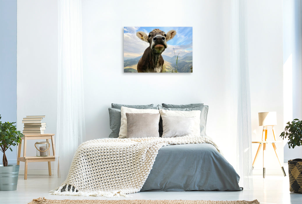 Premium textile canvas Premium textile canvas 120 cm x 80 cm landscape Proud cow on Ritten, South Tyrol 