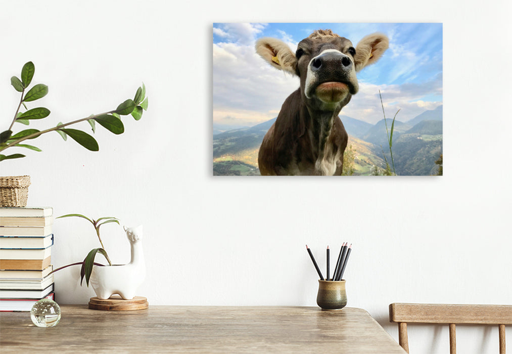 Premium textile canvas Premium textile canvas 120 cm x 80 cm landscape Proud cow on Ritten, South Tyrol 