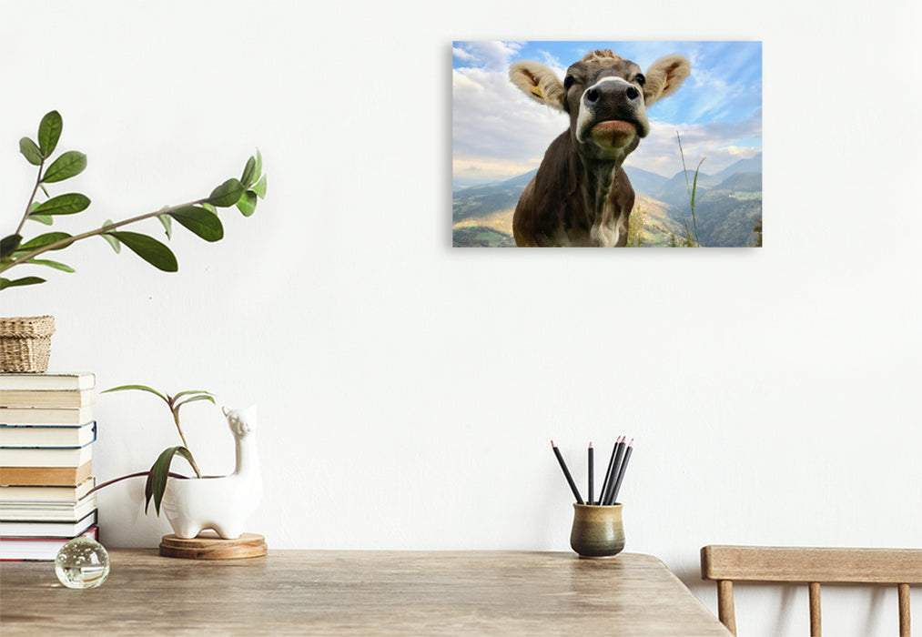 Premium textile canvas Premium textile canvas 120 cm x 80 cm landscape Proud cow on Ritten, South Tyrol 