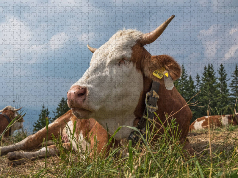 Ein Motiv aus dem Kalender Sehnsuchtsziel Berge - Unterwegs in den Bergwelt rund um München - CALVENDO Foto-Puzzle'
