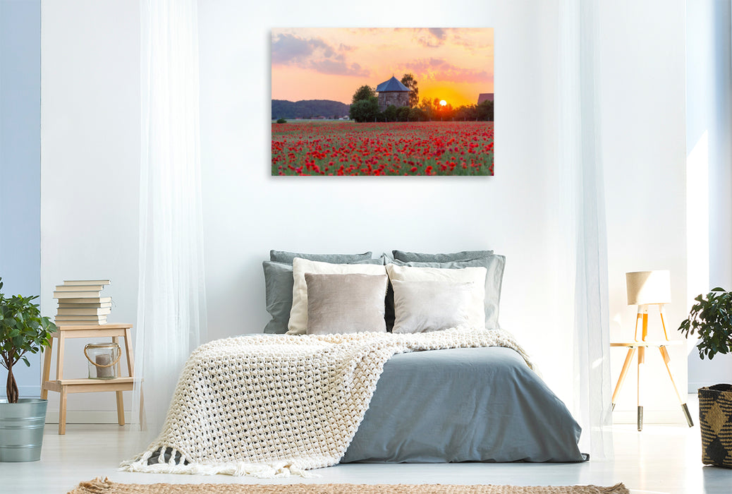 Premium textile canvas Premium textile canvas 120 cm x 80 cm landscape Poppy field at the old windmill in Brockwitz, Coswig (Saxony) 