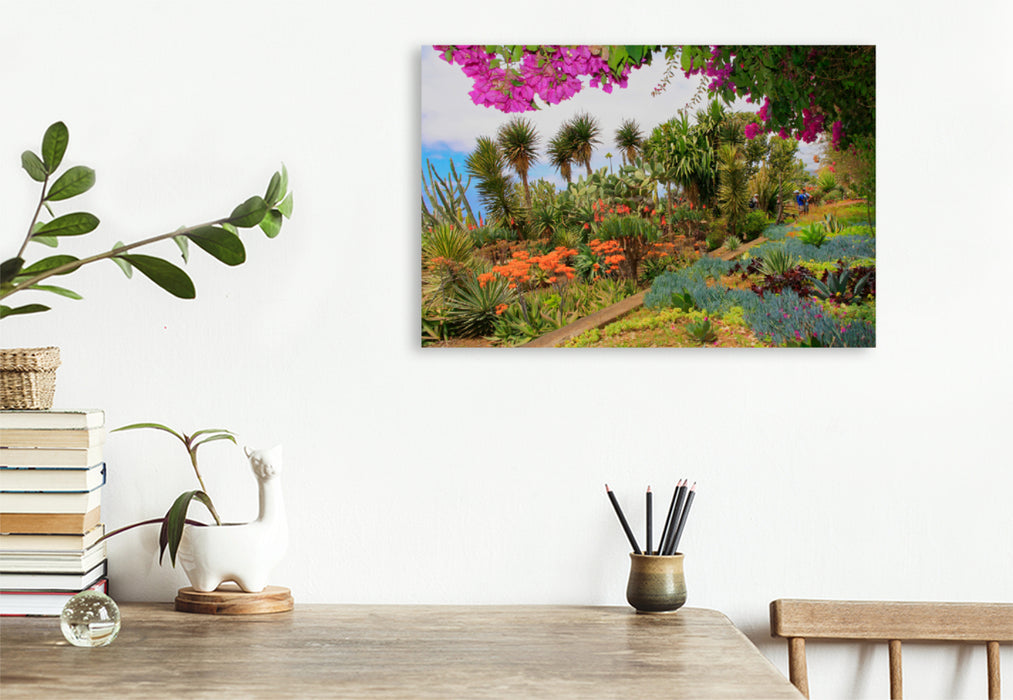 Premium textile canvas Premium textile canvas 120 cm x 80 cm landscape Botanical Garden Cacti 