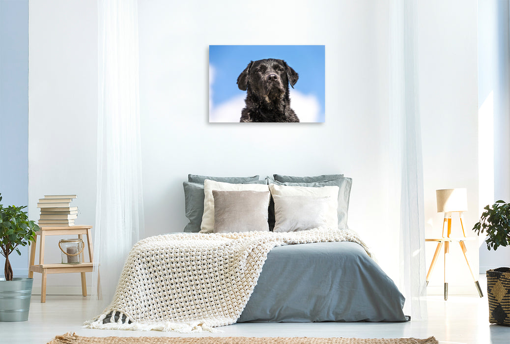 Premium textile canvas Premium textile canvas 120 cm x 80 cm landscape Black Labrador on the beach 