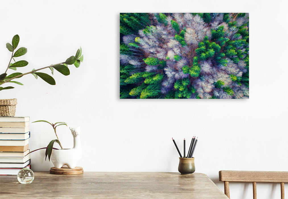 Premium textile canvas Premium textile canvas 120 cm x 80 cm landscape mixed forest from a bird's eye view 