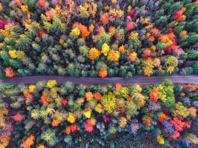 Farbenpracht des Waldes im Indian Summer - CALVENDO Foto-Puzzle'