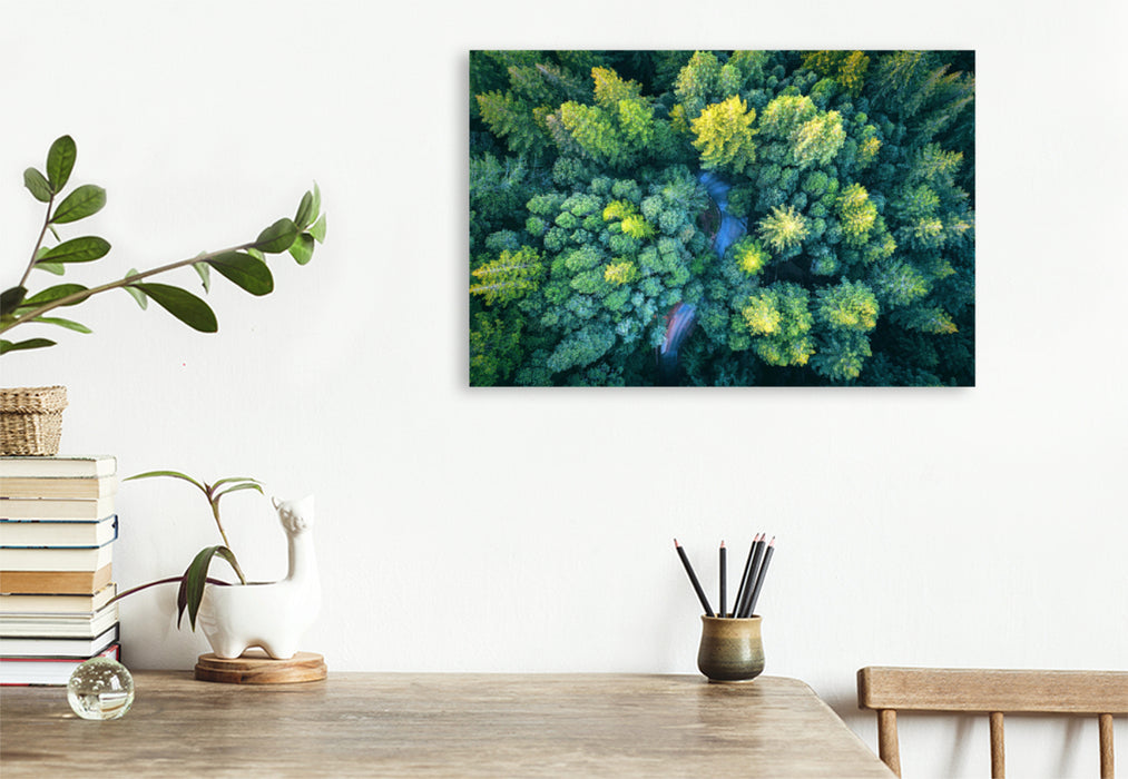 Premium textile canvas Premium textile canvas 120 cm x 80 cm landscape The forest from above 