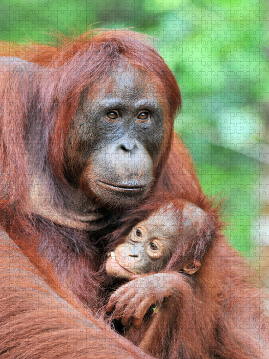 Mutter mit Baby - CALVENDO Foto-Puzzle'