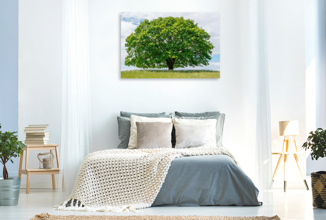 Premium Textil-Leinwand Premium Textil-Leinwand 120 cm x 80 cm quer Ein Motiv aus dem Kalender Eiche in den vier Jahreszeiten.