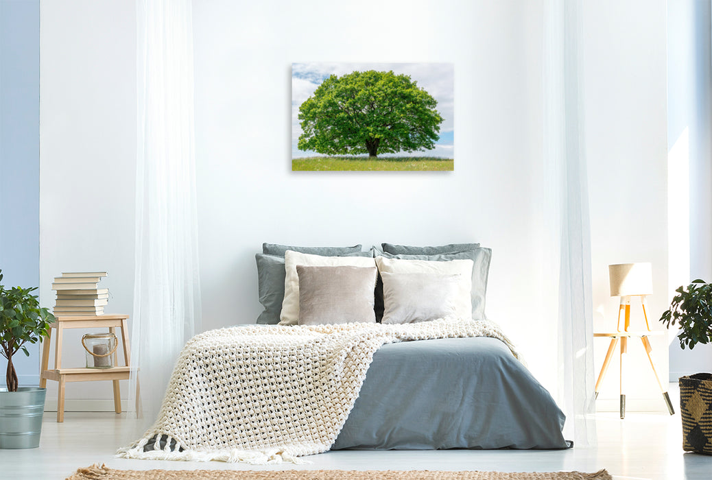 Premium textile canvas Premium textile canvas 120 cm x 80 cm across A motif from the calendar Oak in the four seasons. 