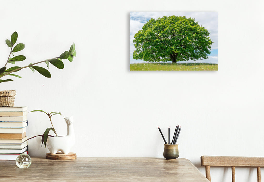 Premium textile canvas Premium textile canvas 120 cm x 80 cm across A motif from the calendar Oak in the four seasons. 