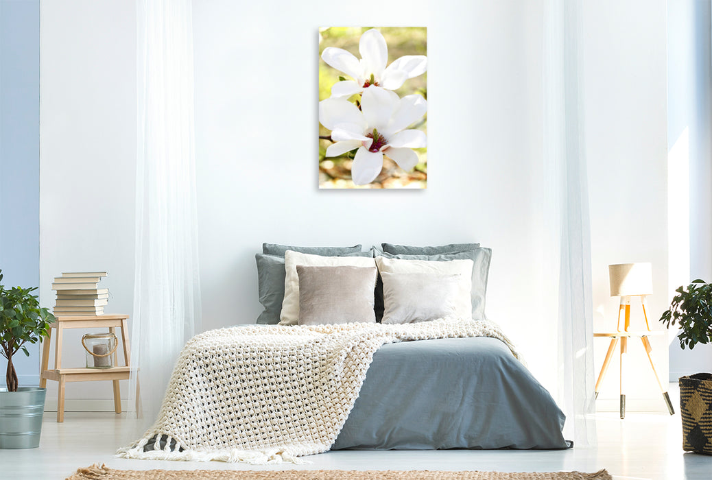 Premium Textil-Leinwand Premium Textil-Leinwand 80 cm x 120 cm  hoch Magnolienblüten