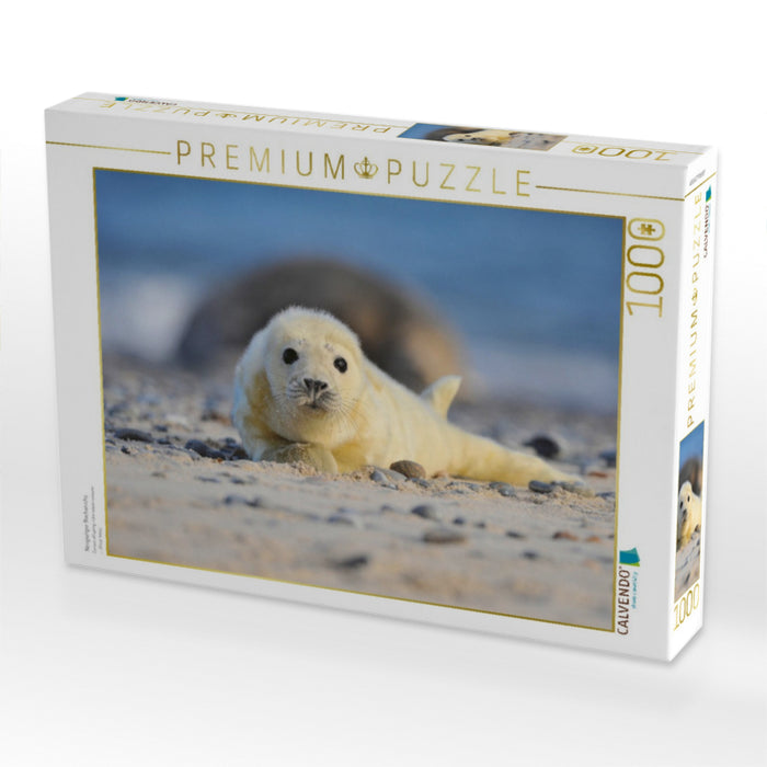 Neugieriger Nachwuchs - CALVENDO Foto-Puzzle'