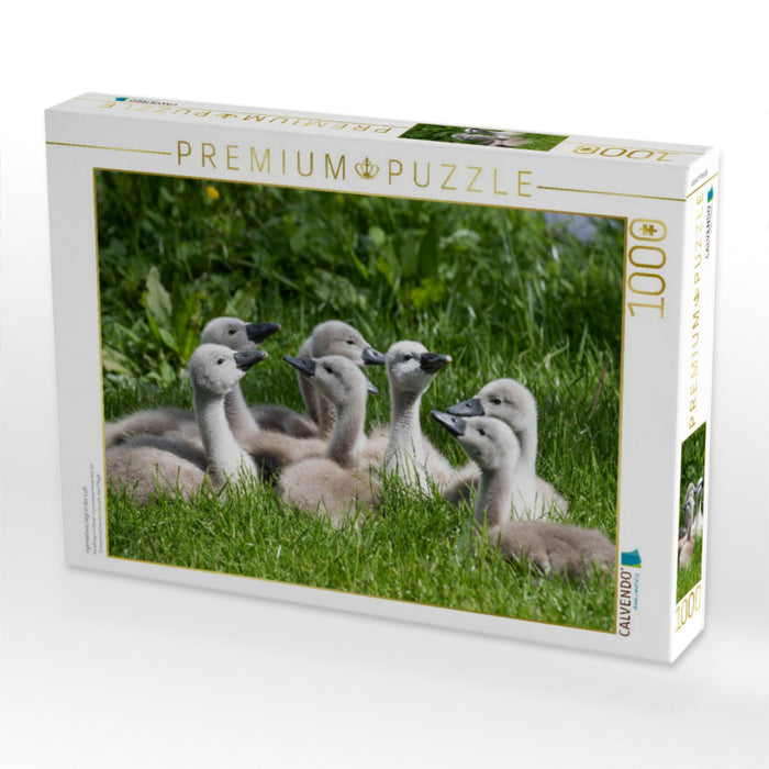 irgendetwas liegt in der Luft - CALVENDO Foto-Puzzle'