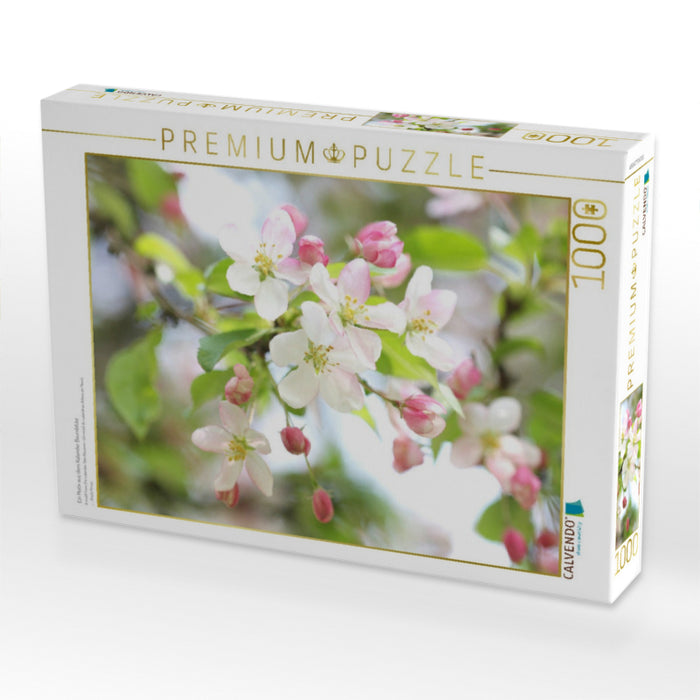 Ein Motiv aus dem Kalender Baumblüte - CALVENDO Foto-Puzzle'
