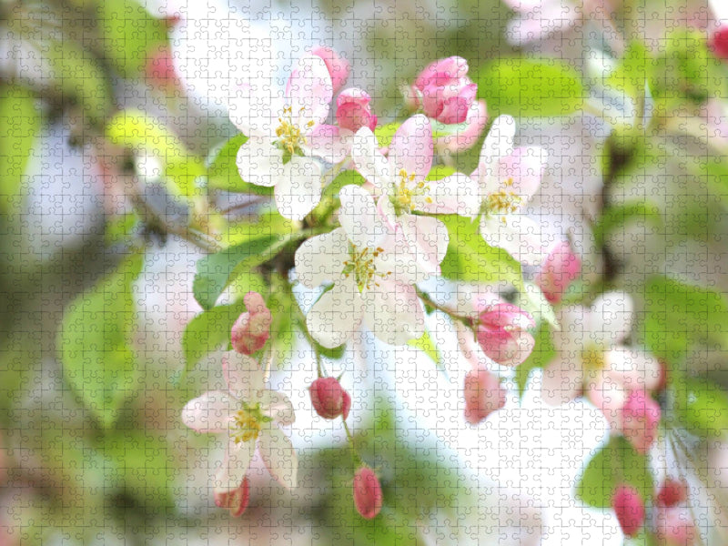 Ein Motiv aus dem Kalender Baumblüte - CALVENDO Foto-Puzzle'